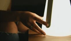 Extreme Lounging B Bulb Outdoor Light -Wolf Garden Sales Store 35782 14801