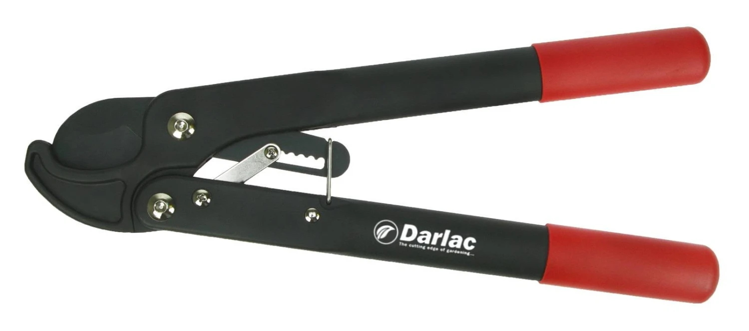 Darlac Handy Ratchet Lopper 1 Darlac Handy Ratchet Lopper
