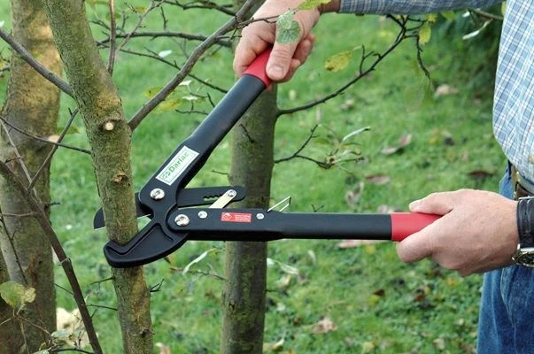 Darlac Handy Ratchet Lopper 2 Darlac Handy Ratchet Lopper - Image 2