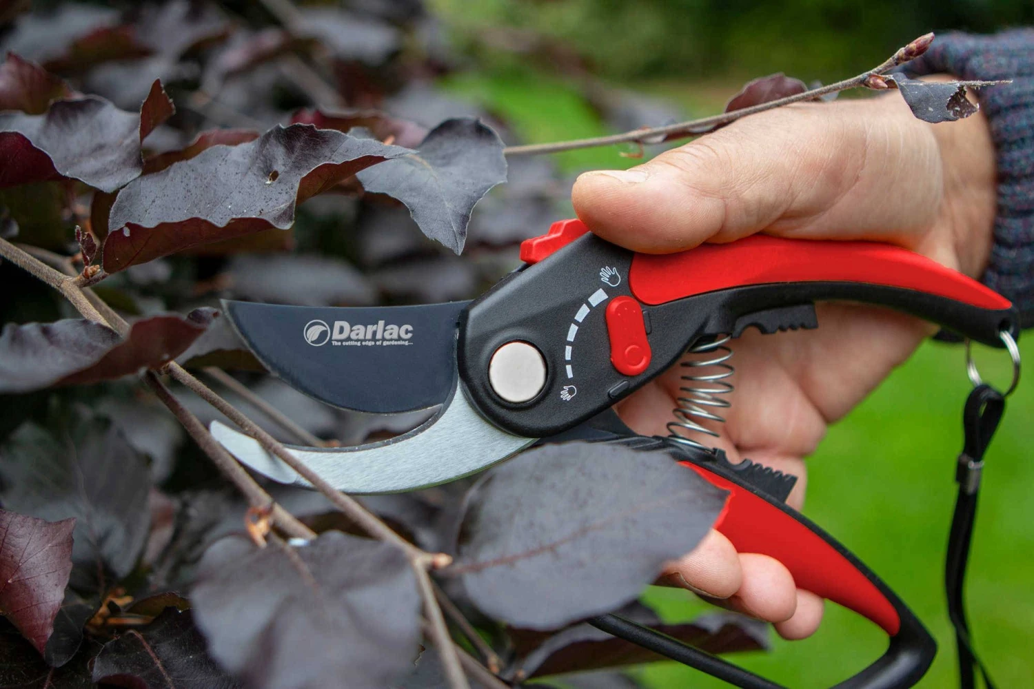 Darlac Adjustable Bypass Pruner 2 Darlac Adjustable Bypass Pruner - Image 2