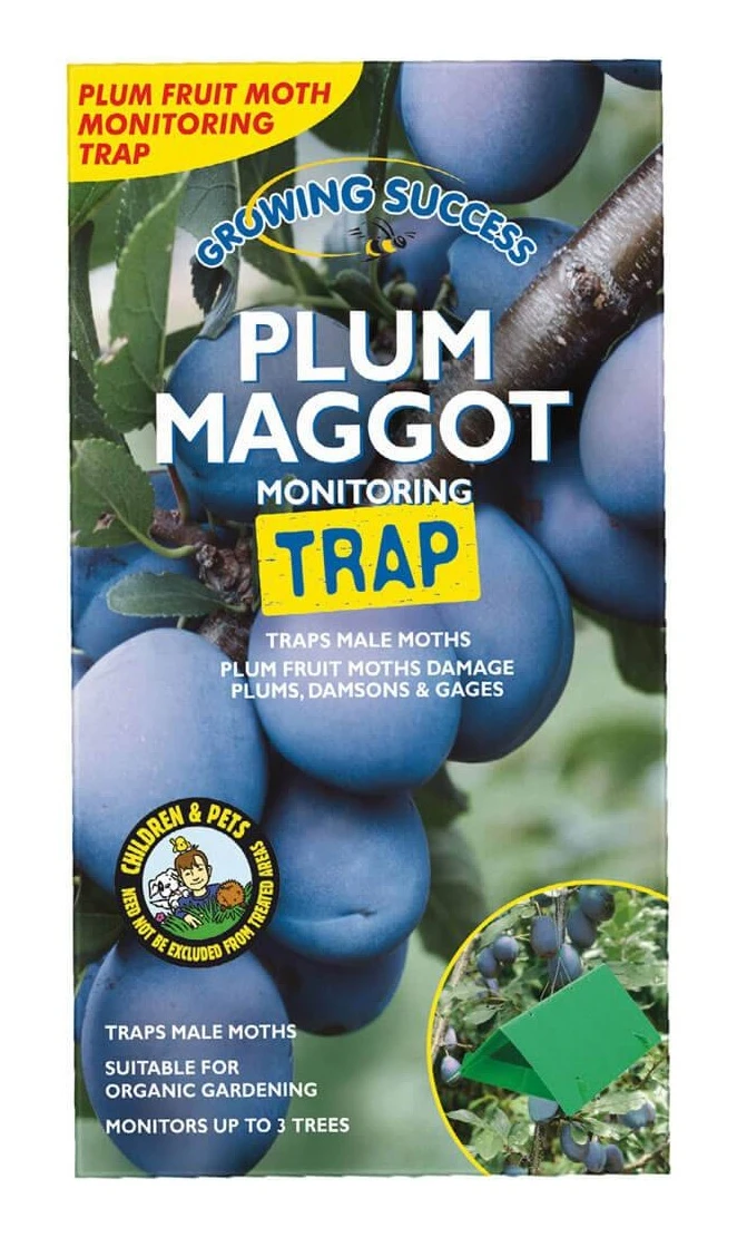 Growing Success Plum Maggot Monitoring Trap 1 Growing Success Plum Maggot Monitoring Trap