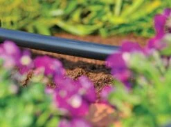 Hozelock 13mm Supply Hose - 25m -Wolf Garden Sales Store 43844 6552