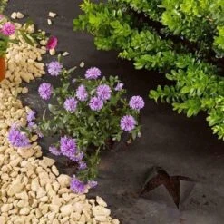 Smart Garden G100 Anti-Weed Fabric 1m X 15m -Wolf Garden Sales Store 44684 5799