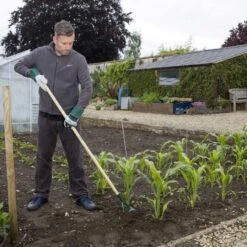 Wilkinson Sword Carbon Steel Dutch Hoe -Wolf Garden Sales Store 45281 5173