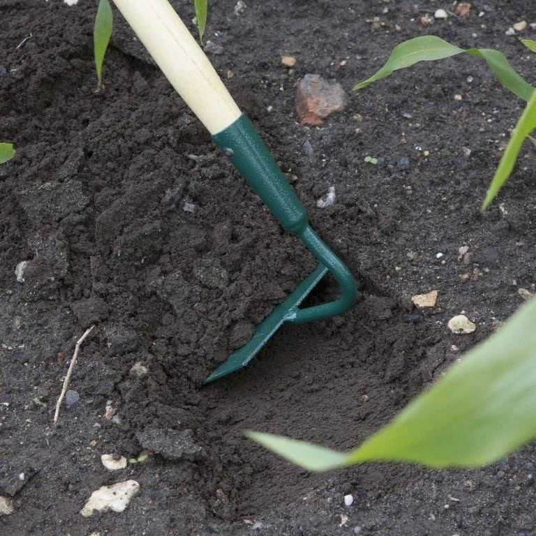 Wilkinson Sword Carbon Steel Draw Hoe 3 Wilkinson Sword Carbon Steel Draw Hoe - Image 3