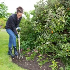 Wilkinson Sword Stainless Steel Border Fork -Wolf Garden Sales Store 45294 5123