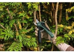 Bosch EasyPrune Cordless Secateurs -Wolf Garden Sales Store 51032 30816