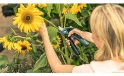 Bosch EasyPrune Cordless Secateurs -Wolf Garden Sales Store 51032 30843