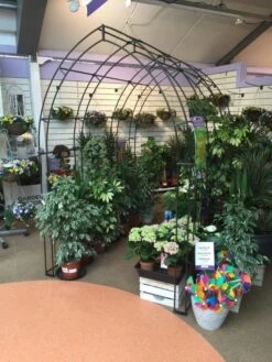 Poppy Forge Gothic Tunnel -Wolf Garden Sales Store 53258 26528